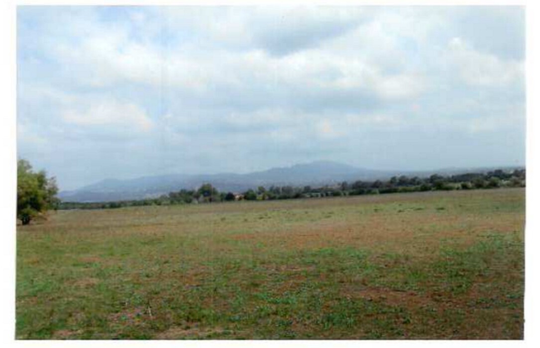 Immagine di TERRENO STRADA STATALE NETTUNENSE – LANUVIO