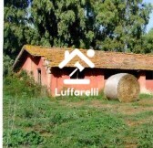 Immagine di CAPANNONE-TERREN LANUVIO STRADA STATALE NETTUNENSE