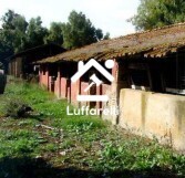 Immagine di CAPANNONE-TERREN LANUVIO STRADA STATALE NETTUNENSE