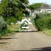 Immagine di CAPANNONE-TERREN LANUVIO STRADA STATALE NETTUNENSE