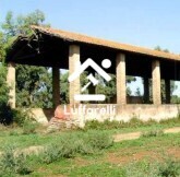 Immagine di CAPANNONE-TERREN LANUVIO STRADA STATALE NETTUNENSE