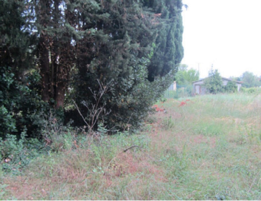 Immagine di TERRENO LOCALITA’ CAPRILINO – VIA GAGARIN SNC – PESARO