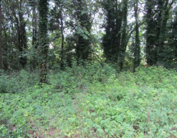 TERRENO LOCALITA' CAPRILINO - VIA GAGARIN - PESARO — foto 5