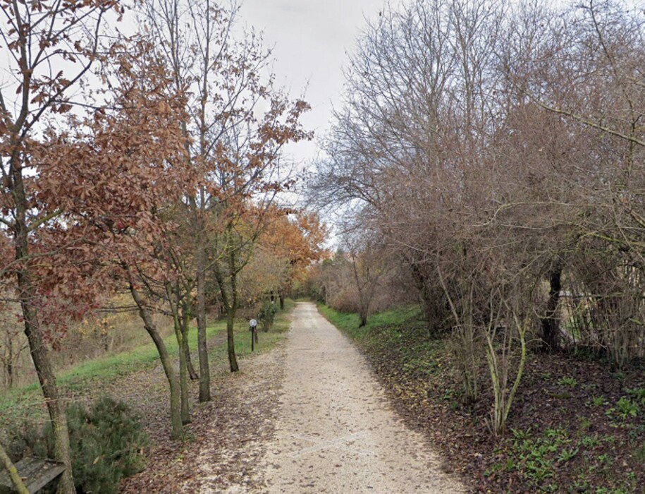 Immagine di TERRENO VIA CASILINA SEGNI (RM)