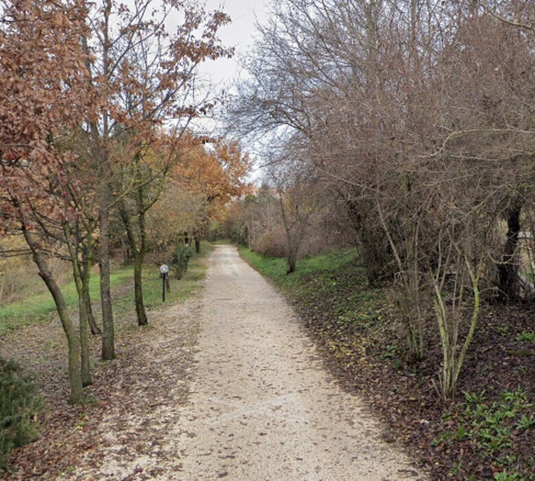 Immagine di TERRENO VIA CASILINA SEGNI (RM)