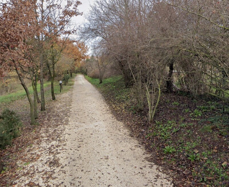 Immagine di TERRENO VIA CASILINA SEGNI (RM)