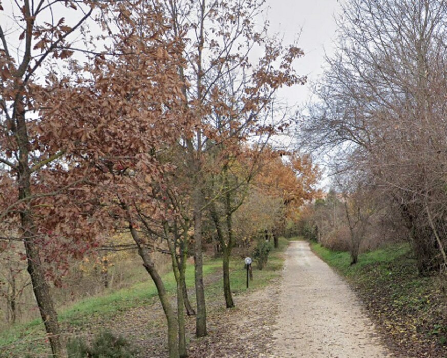 Immagine di TERRENO VIA CASILINA SEGNI (RM)