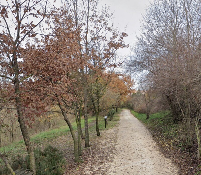 Immagine di TERRENO VIA CASILINA SEGNI (RM)