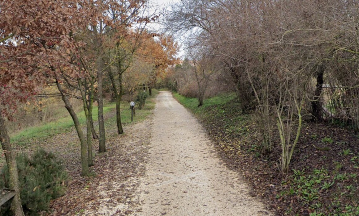 Immagine di TERRENO VIA CASILINA SEGNI (RM)