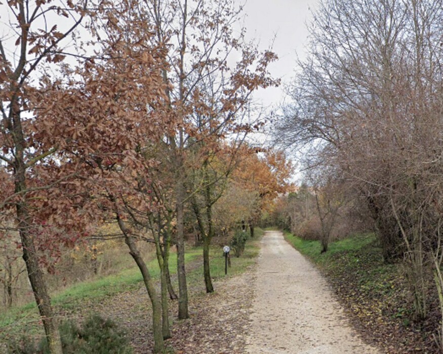 Immagine di TERRENO VIA CASILINA SEGNI (RM)