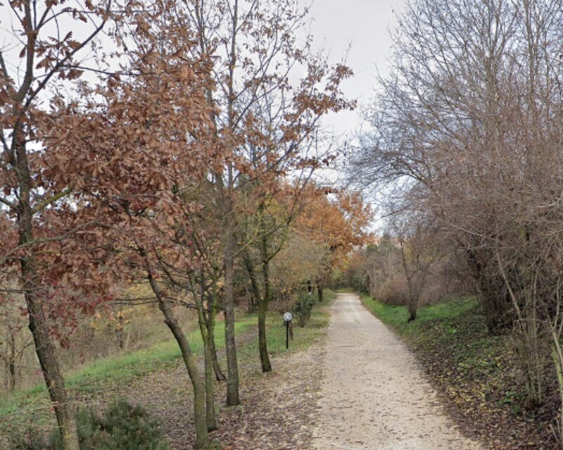 Immagine di TERRENO VIA CASILINA SEGNI (RM)