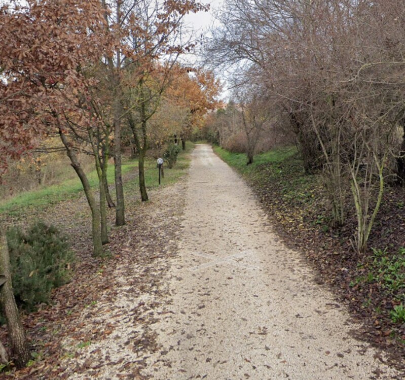 Immagine di TERRENO VIA CASILINA SEGNI (RM)