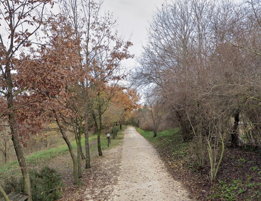 Immagine di TERRENO VIA CASILINA SEGNI (RM)