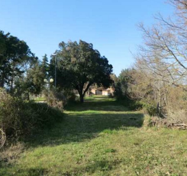 NEGOZIO O LOCALE COMMERCIALE VOC. MALANDRUGE - BETTONA — foto 4
