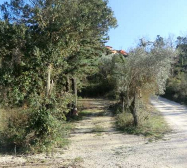 NEGOZIO O LOCALE COMMERCIALE VOC. MALANDRUGE - BETTONA — foto 5