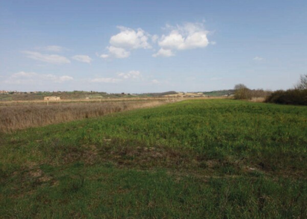 STRUTTURE AGRICOLE TRAVERSA DELLA LAURETANA - MONTEPULCIANO — foto 8