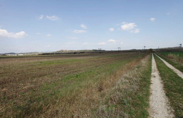 STRUTTURE AGRICOLE TRAVERSA DELLA LAURETANA - MONTEPULCIANO — foto 3