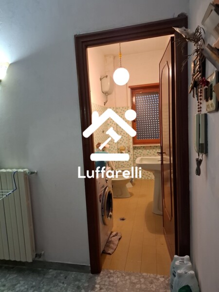 DEPOSITO / MAGAZZINO VIA COLLE CALDARA - VELLETRI — foto 5