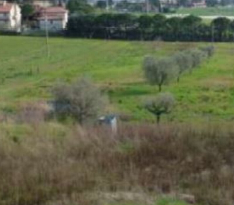 Immagine di TERRENO VIA DEGLI IMPIANTI SPORTIVI – APPIGNANO (MC)