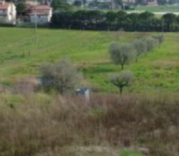 TERRENO VIA DEGLI IMPIANTI SPORTIVI - APPIGNANO (MC) — foto 3