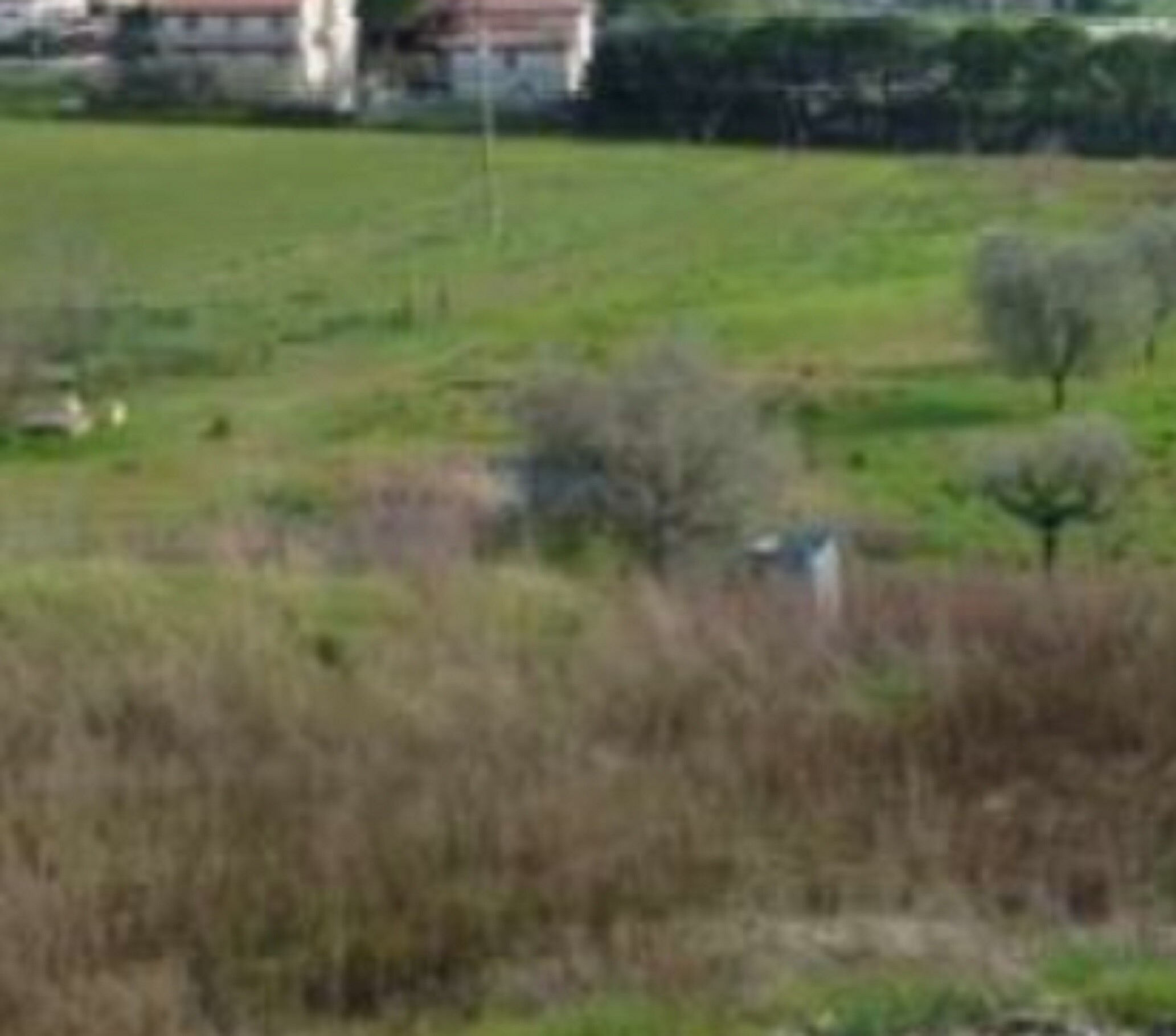 TERRENO VIA DEGLI IMPIANTI SPORTIVI - APPIGNANO (MC) — foto 2