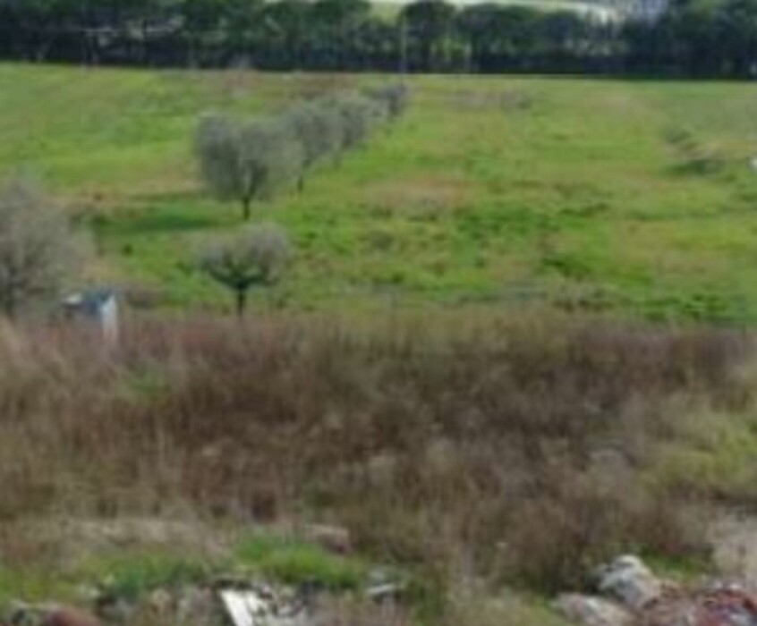 Immagine di TERRENO VIA DEGLI IMPIANTI SPORTIVI – APPIGNANO (MC)
