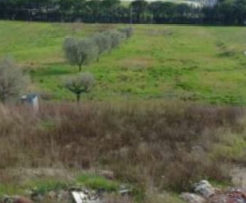 Immagine di TERRENO VIA DEGLI IMPIANTI SPORTIVI – APPIGNANO (MC)