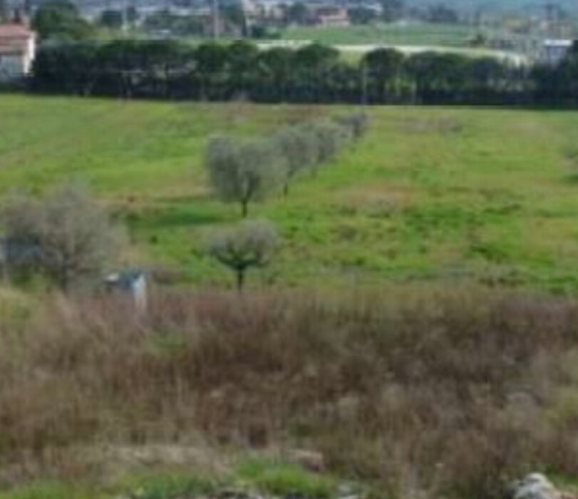 Immagine di TERRENO VIA DEGLI IMPIANTI SPORTIVI – APPIGNANO (MC)