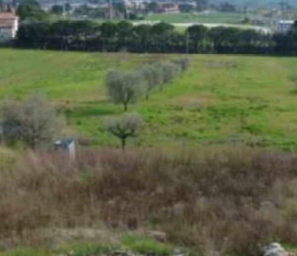 TERRENO VIA DEGLI IMPIANTI SPORTIVI - APPIGNANO (MC) — foto 4