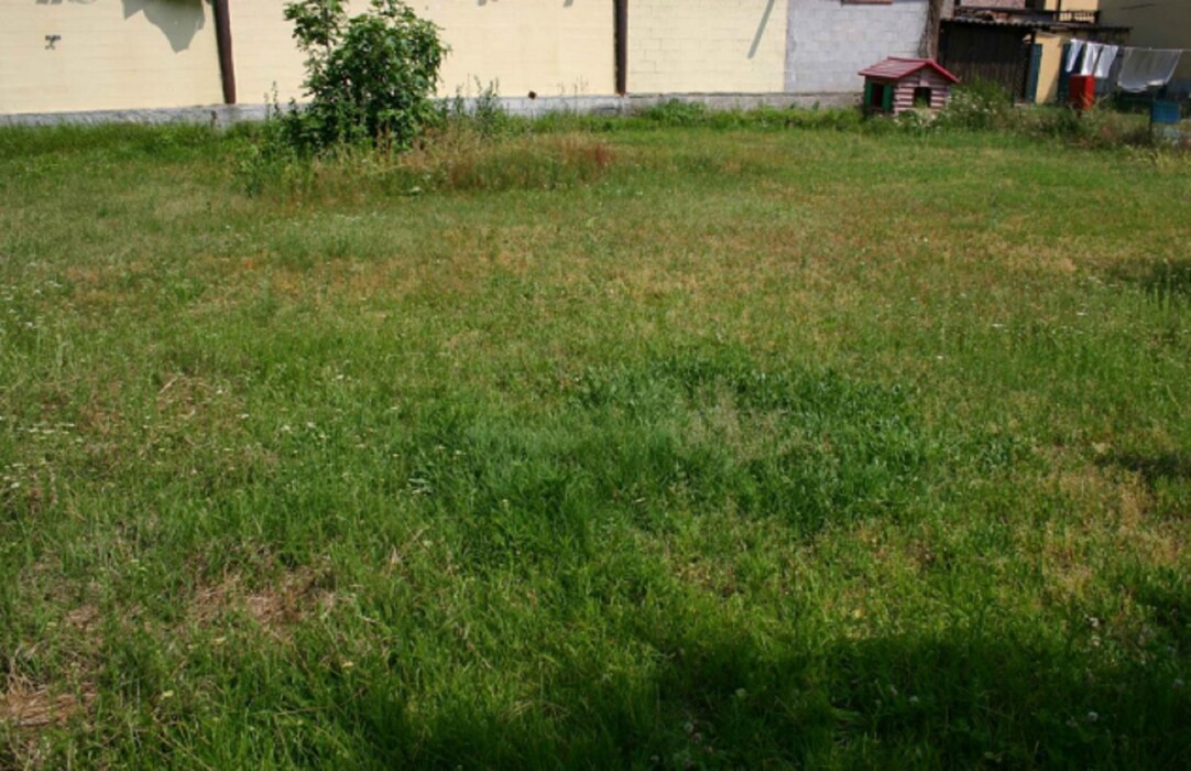 Immagine di NEGOZIO O LOCALE COMMERCIALE LOCALITA’ PELLEGRINA 2 – VELLEZZO BELLINI