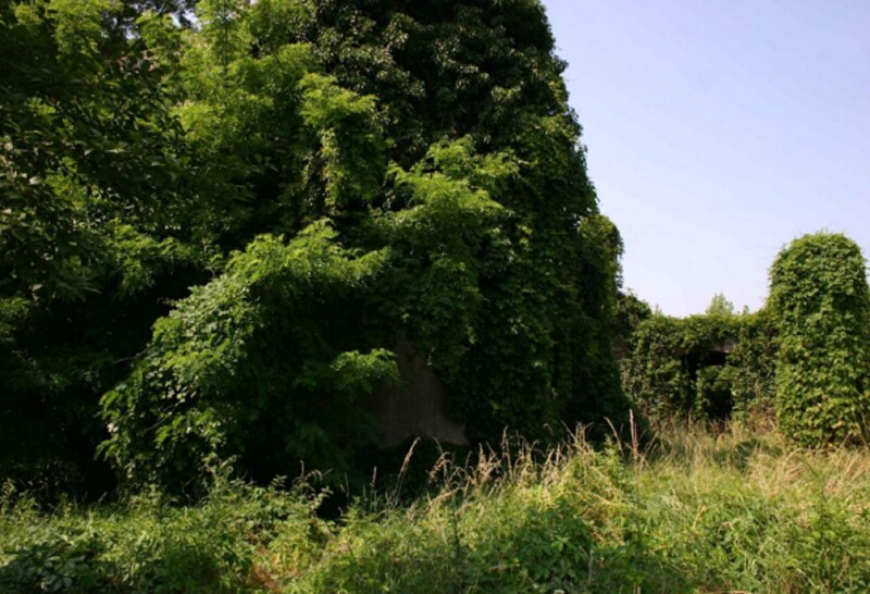Immagine di NEGOZIO O LOCALE COMMERCIALE LOCALITA’ PELLEGRINA 2 – VELLEZZO BELLINI