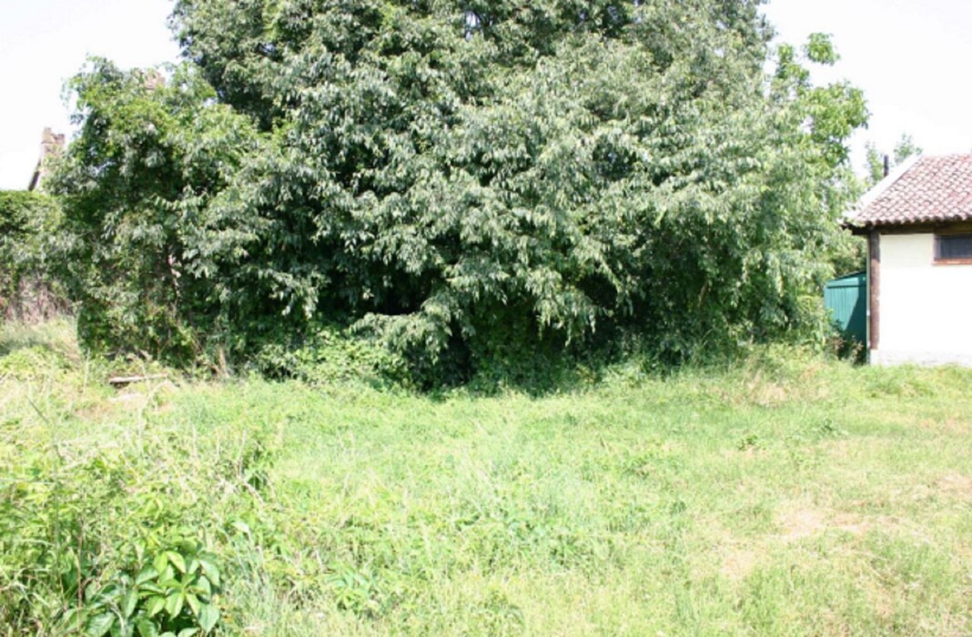 Immagine di NEGOZIO O LOCALE COMMERCIALE LOCALITA’ PELLEGRINA 2 – VELLEZZO BELLINI