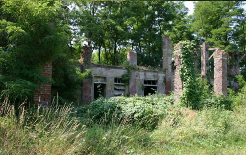 Immagine di NEGOZIO O LOCALE COMMERCIALE LOCALITA’ PELLEGRINA 2 – VELLEZZO BELLINI