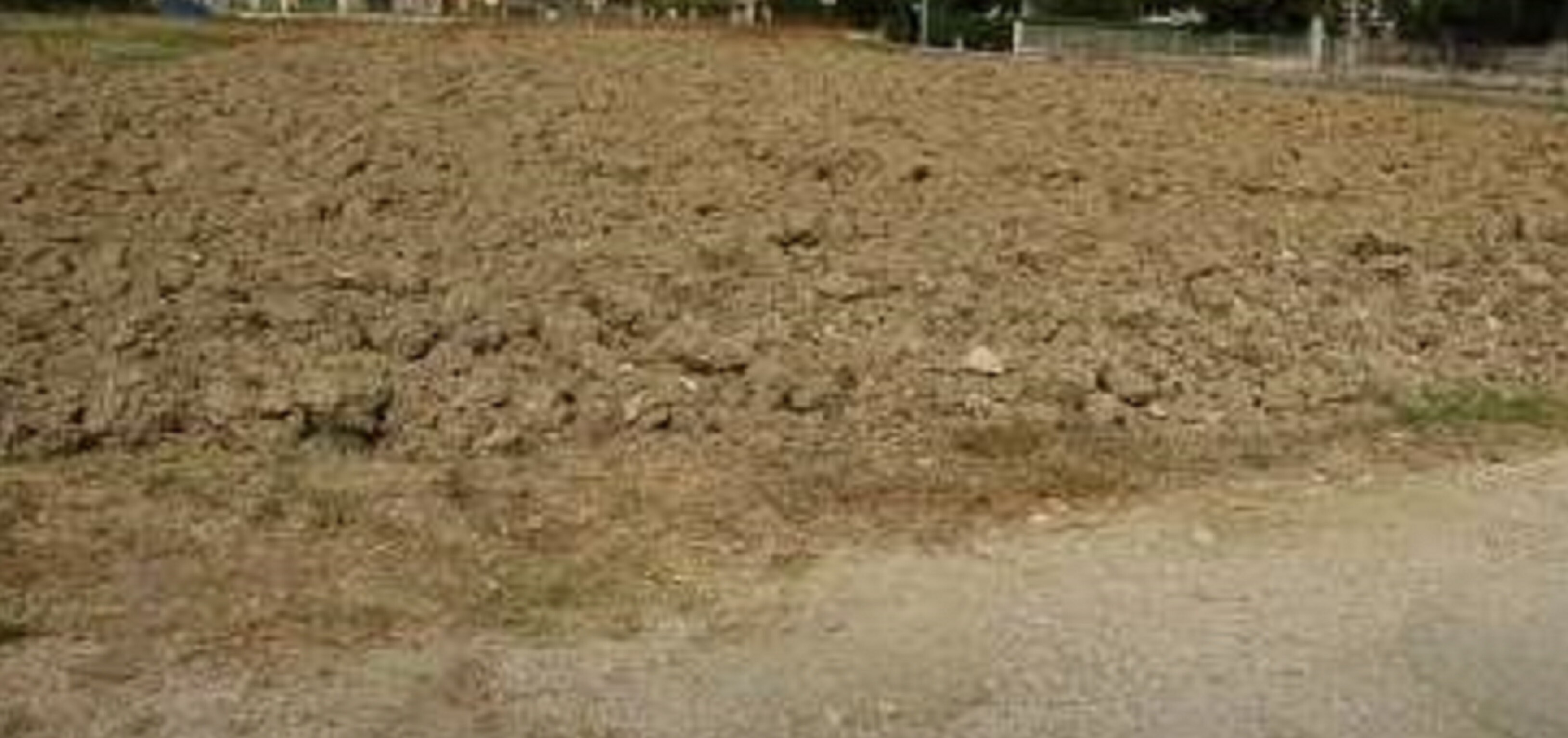 TERRENO EDIFICABILE LOC. CASTELNUOVO, PERUGIA (PG) — foto 7