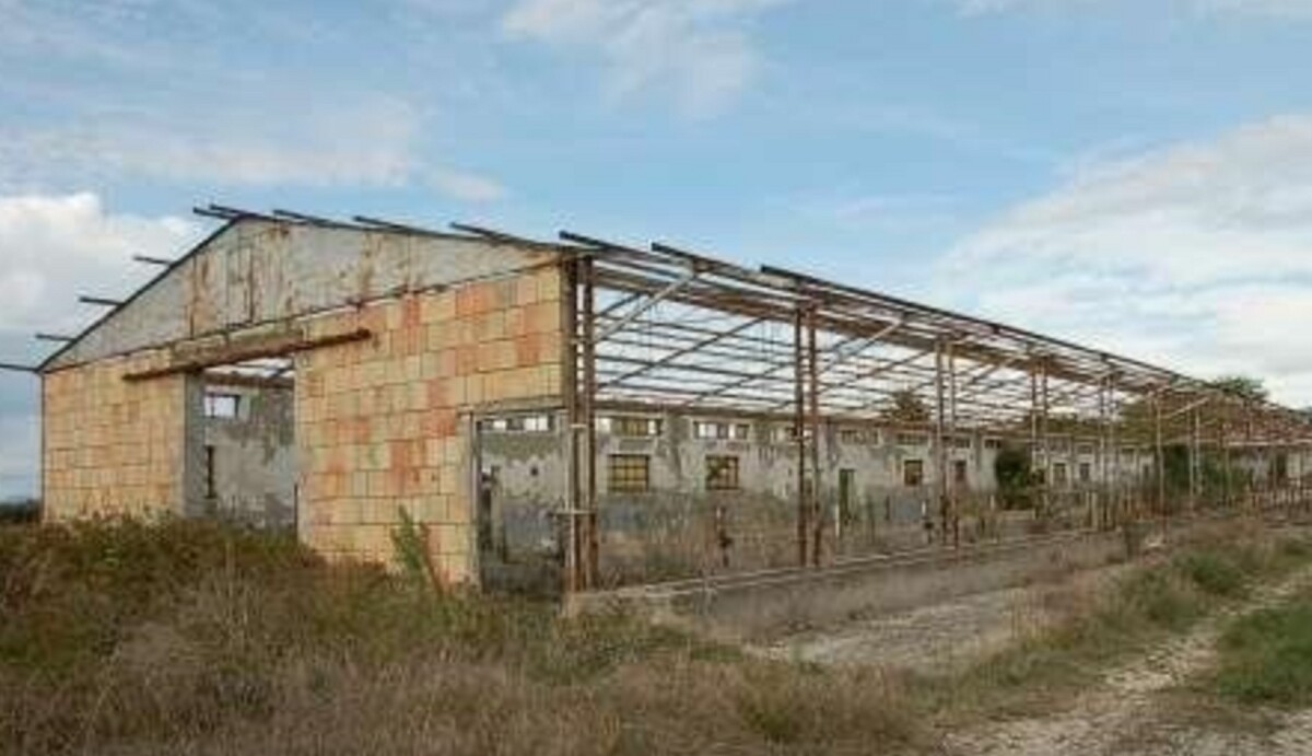 Immagine di TERRENO EDIFICABILE LOC. CASTELNUOVO, PERUGIA (PG)