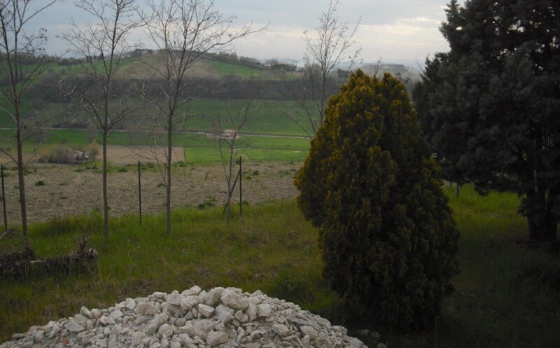 Immagine di FABBRICATO E TERRENO VIA QUERCIABELLA – SENIGALLIA (AN)