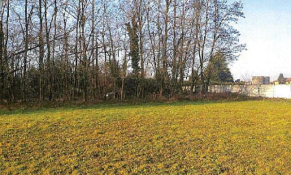TERRENO VIA DELLA PACE - LEGNANO — foto 5