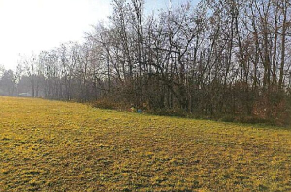 TERRENO VIA DELLA PACE - LEGNANO — foto 7