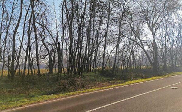 TERRENO VIA DELLA PACE - LEGNANO — foto 8