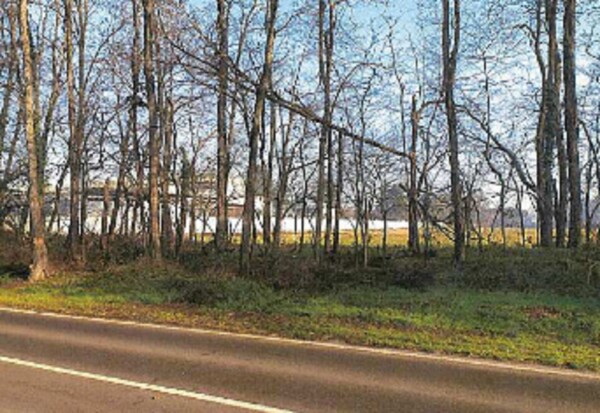 TERRENO VIA DELLA PACE - LEGNANO — foto 6
