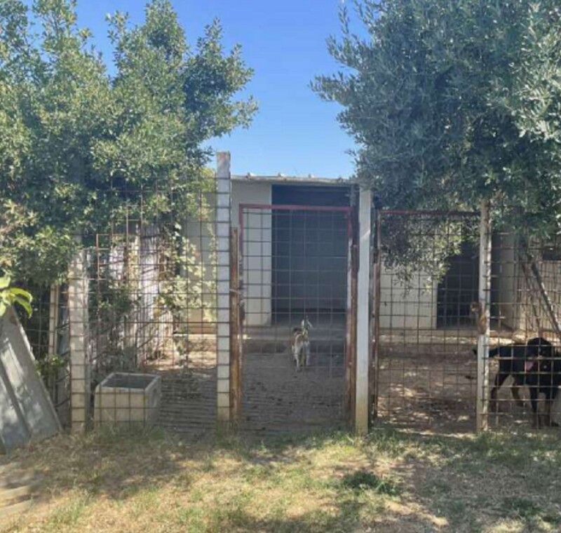 Immagine di VILLA VIA P. IL VECCHIO 86, CISTERNA DI LATINA, LT