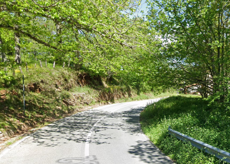 Immagine di CAPANNONE, LOCALITA SERRE POLICARETTO