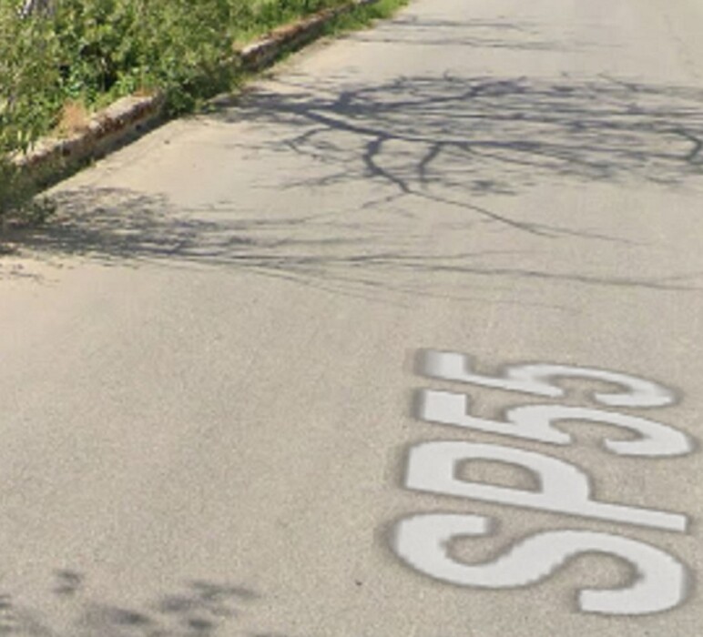 Immagine di TERRENI LOC. POLINARO, SP 55, ROSARNO (RC)