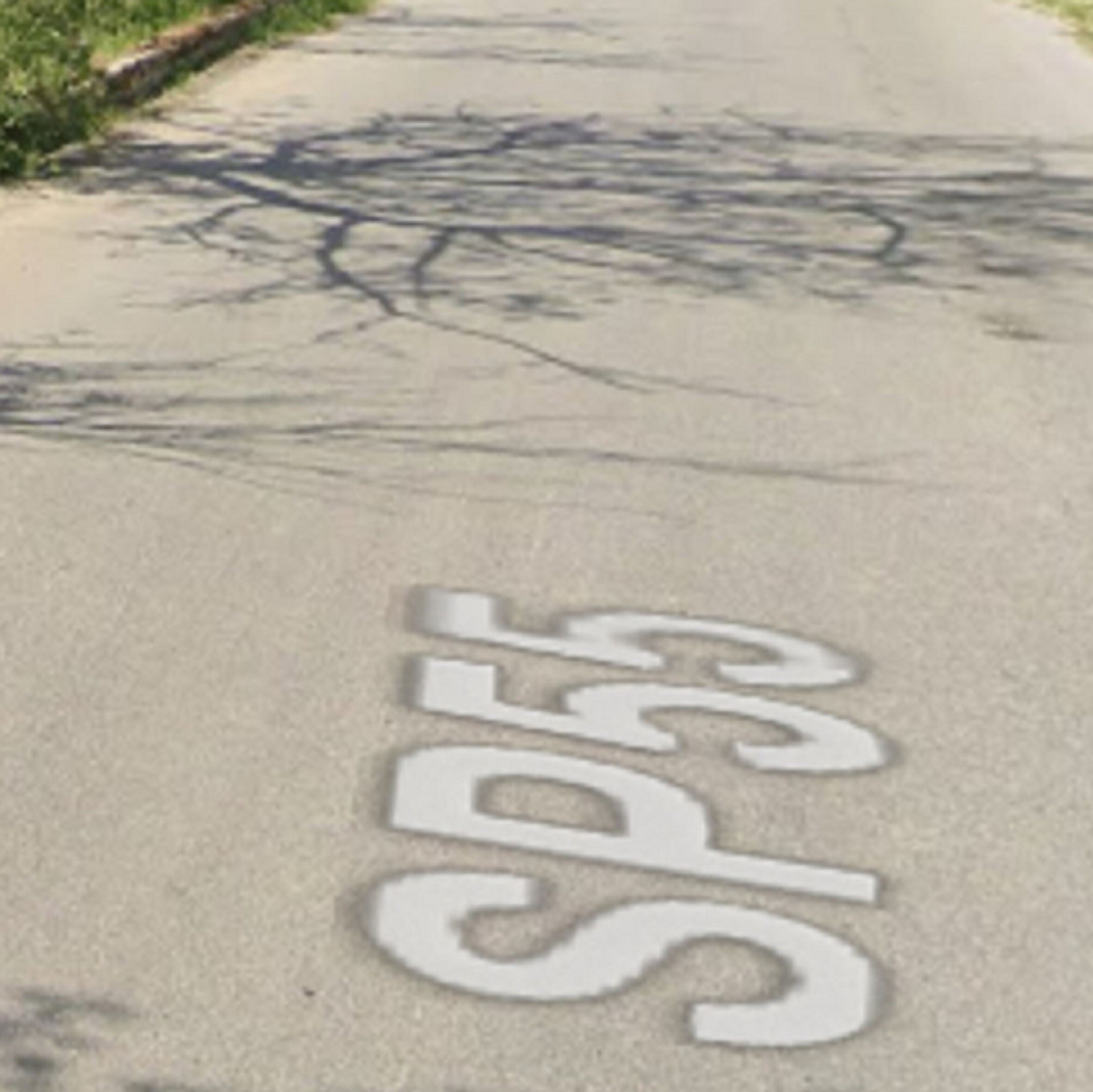 TERRENI LOC. POLINARO, SP 55, ROSARNO (RC) — foto 6
