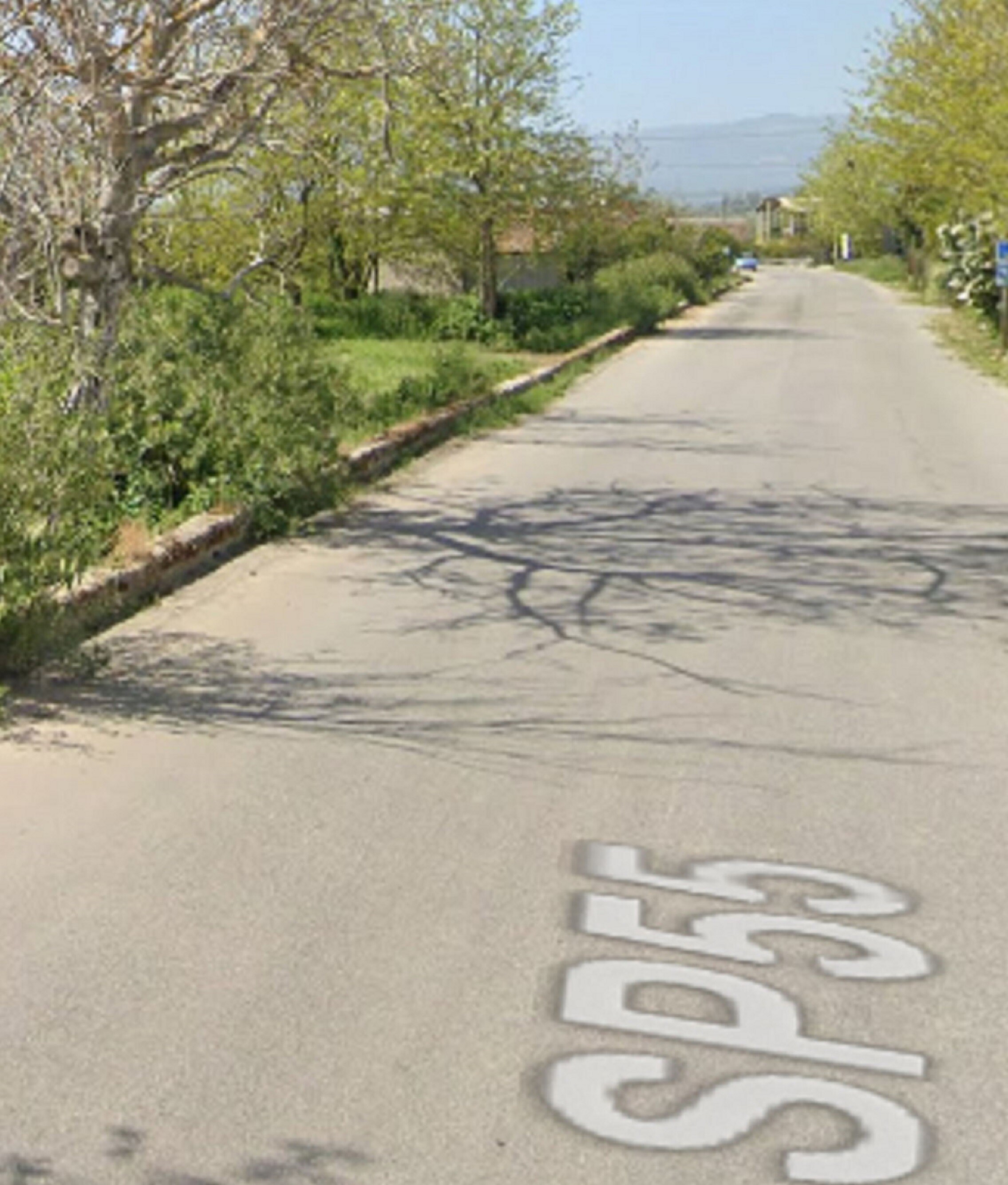 TERRENI LOC. POLINARO, SP 55, ROSARNO (RC) — foto 4