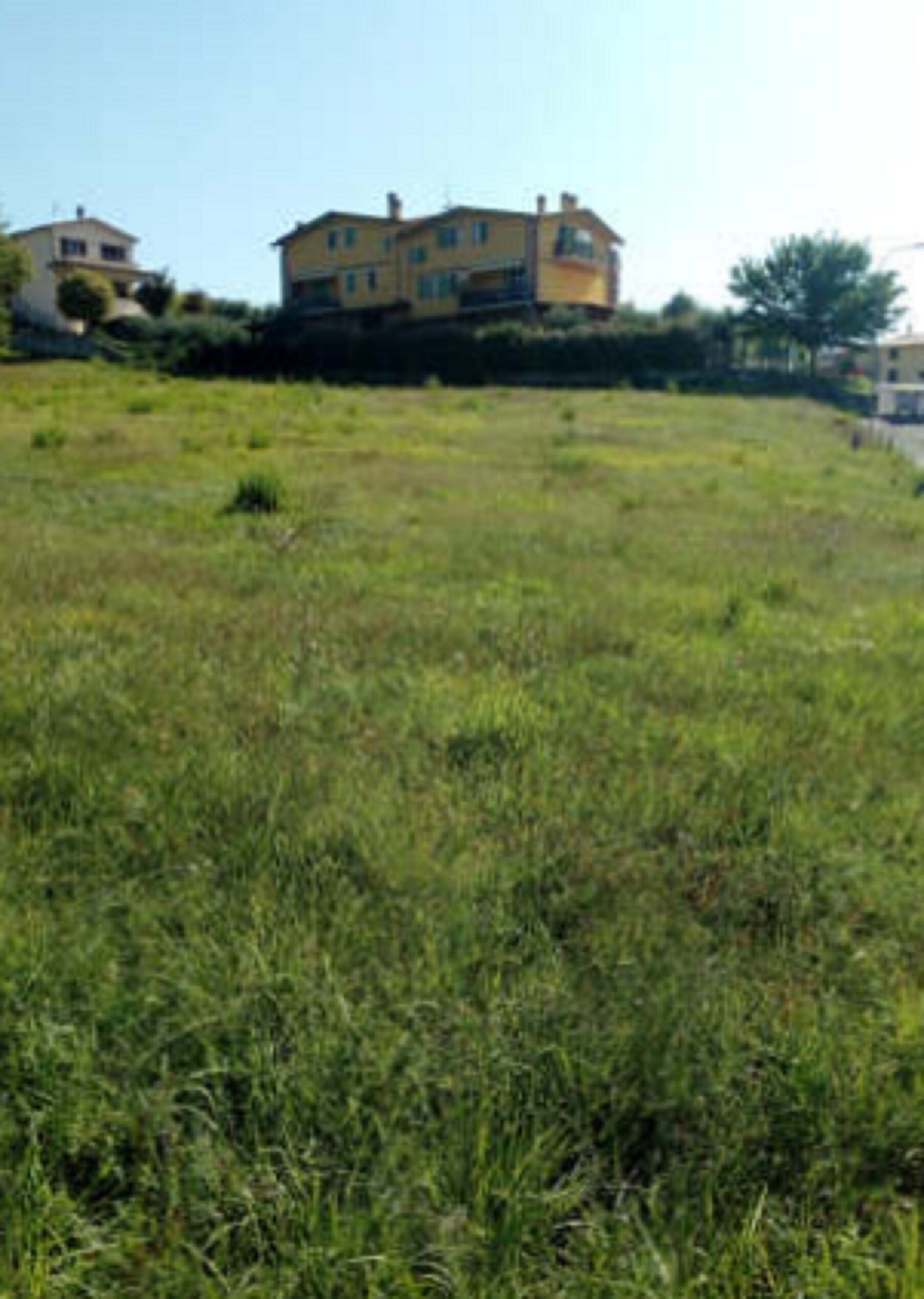 TERRENI LOCALITÀ PICCIONE- PERUGIA (PG) — foto 5