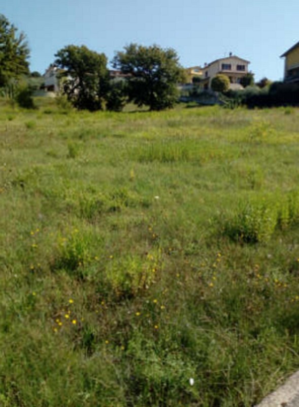 Immagine di TERRENI LOCALITÀ PICCIONE- PERUGIA (PG)