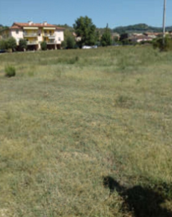 Immagine di TERRENI LOCALITÀ PIANELLO – PERUGIA (PG)