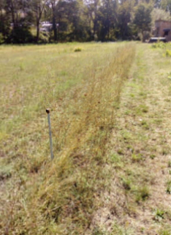 Immagine di TERRENI LOCALITÀ PIANELLO – PERUGIA (PG)