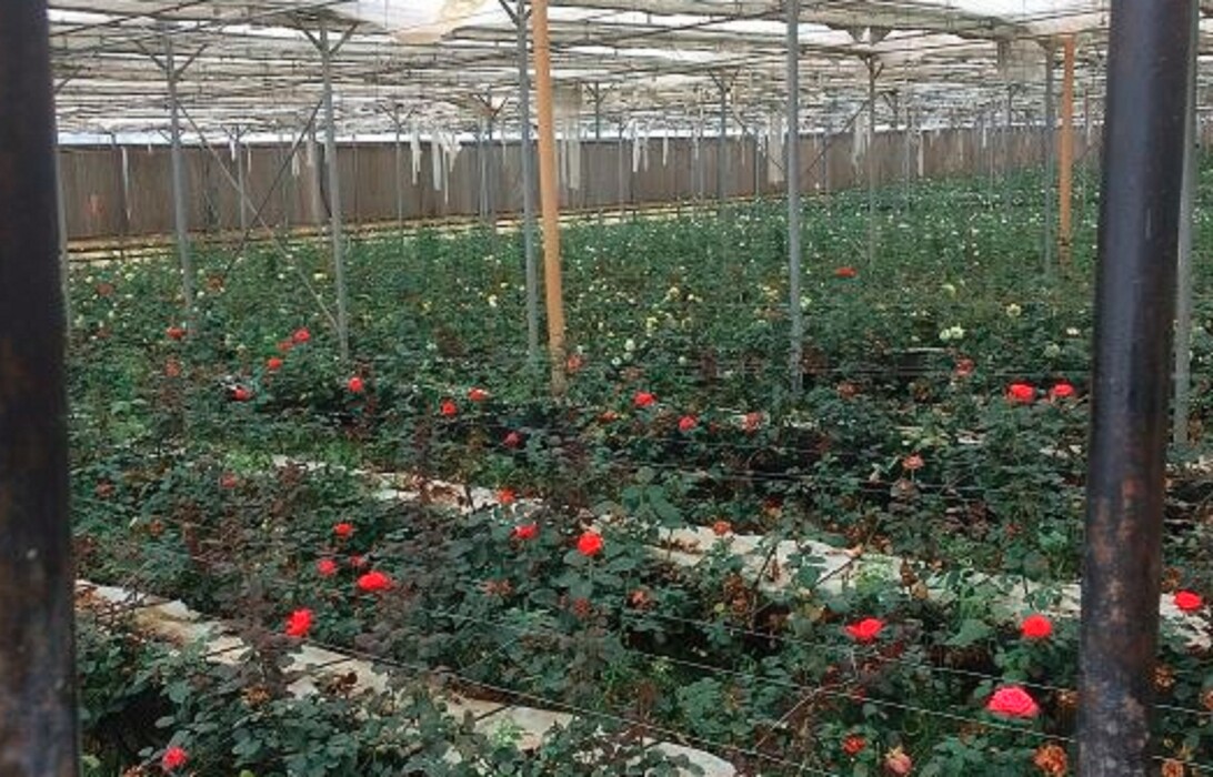 Immagine di APPARTAMENTO CONTRADA POZZO RIBAUDO – POZZO BOLLENTE – MAZARA – VITTORIA